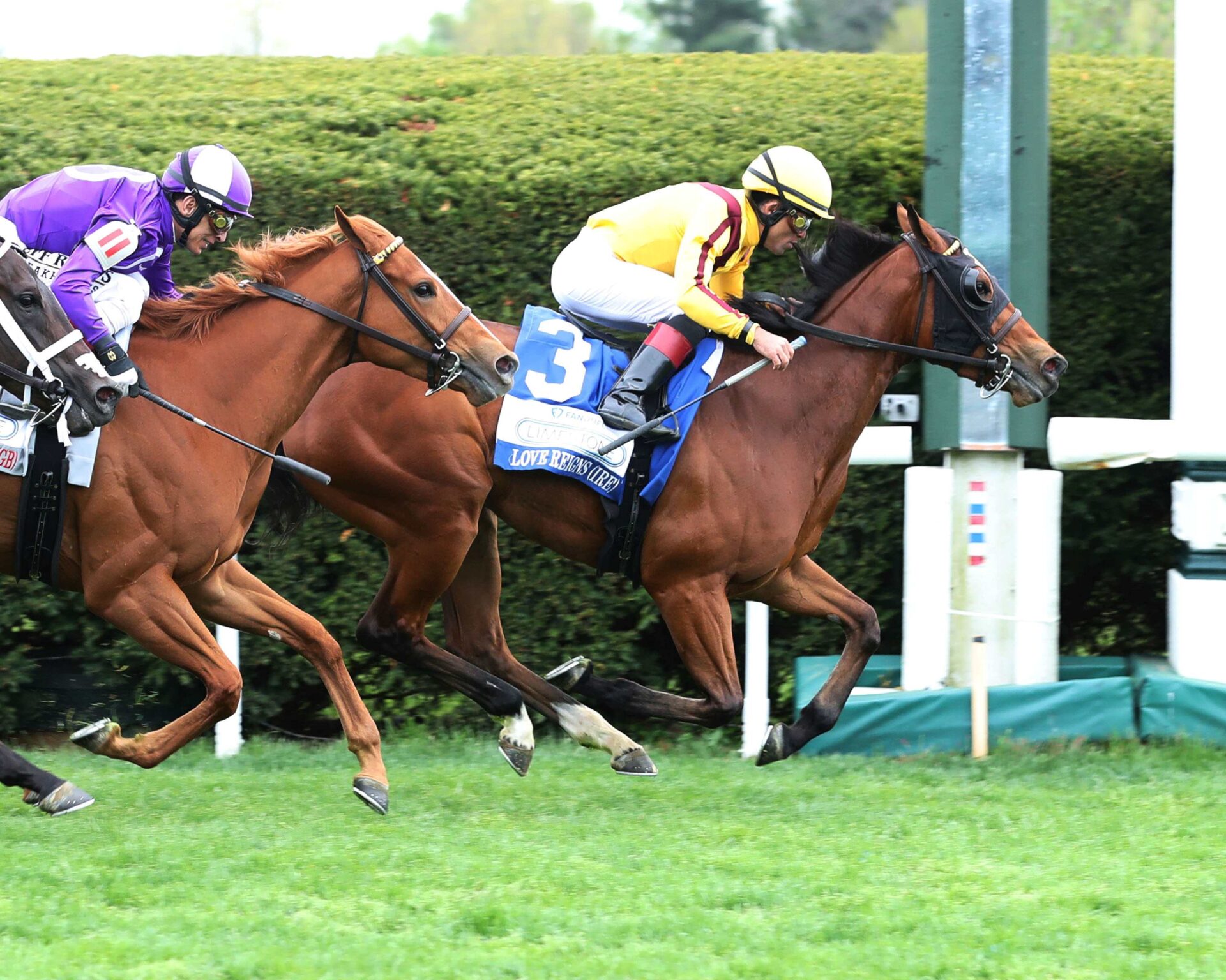 Love Reigns, horse, Stonestreet Stable , Fanduel Limestone Stakes, viernes, 14 de abril de 2023, Keeneland. Foto: Coady Photo