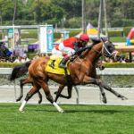 Offlee Naughty, Horses, Flashback, Charles Whittingham, sábado, 8 de abril de 2023, Santa Anita Park. Foto: Benoit Photo