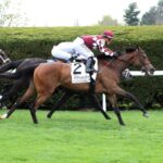 Papilio, horse, Parkland Thoroughbreds, Appalachian Stakes, sábado, 8 de abril de 2023, Keeneland. Foto: Coady Photo