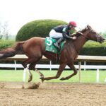 Rattle N Roll, horse, Connect, Ben Ali Stakes, sábado, 22 de abril de 2023, Keeneland. Foto: Coady Photography