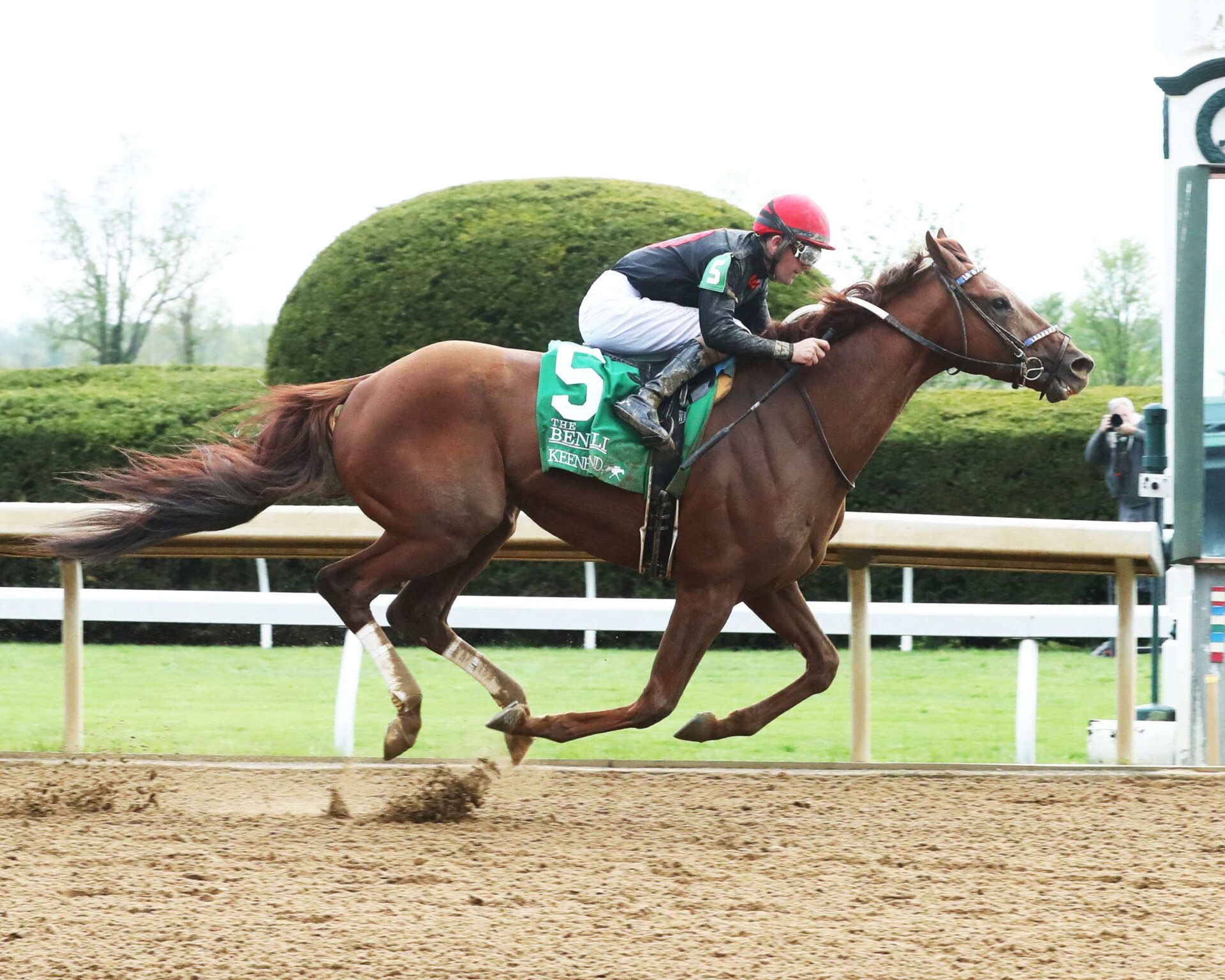 Rattle N Roll, horse, Connect, Ben Ali Stakes, sábado, 22 de abril de 2023, Keeneland. Foto: Coady Photography