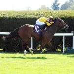 Twilight Gleaming, horse, National Defense, Giant´s Causeway Stakes, sábado, 15 de abril de 2023, Keeneland. Foto: Coady Photography