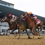 Lord Miles, horse, Curlin, Resort World Casino Wood Memorial, sábado, 8 de abril de 2023, Aqueduct. Foto: Coglaniese Photo