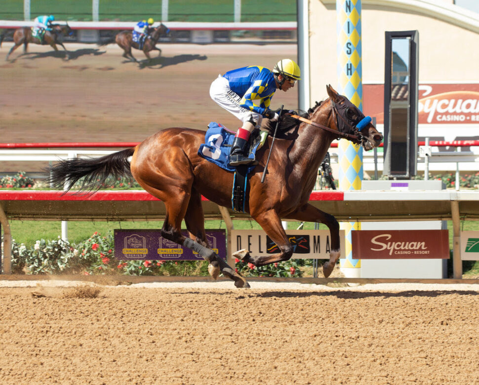 National Treasure, horse, Quality Road, Maiden Special Weight, sábado, 3 de septiembre de 2022, Del Mar. Foto: Benoit Photo