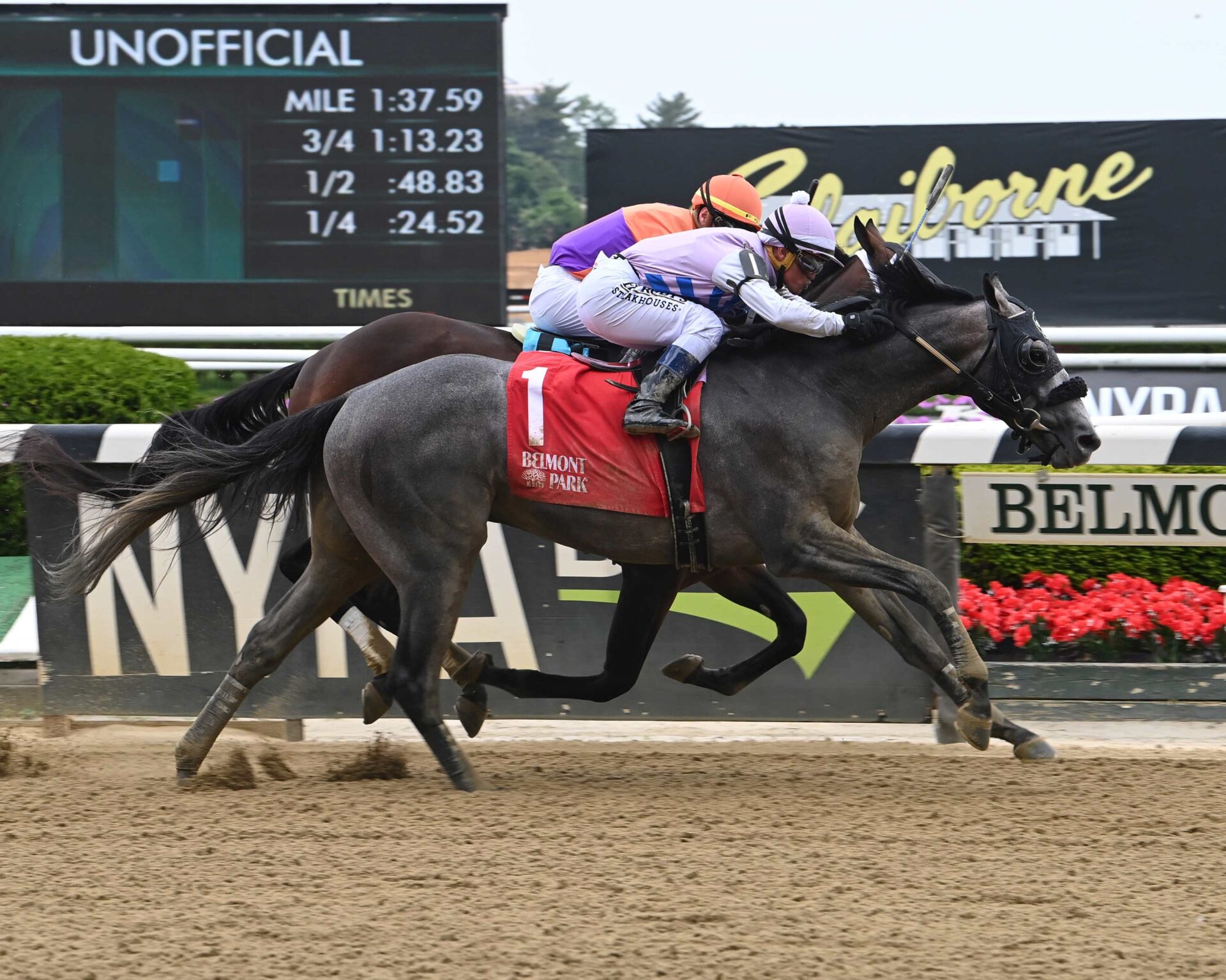 Arcangelo, horse, Don Alberto Corporation, Peter Pan Stakes, sábado, 13 de mayo de 2023, Belmont Park. Foto: Coglianese Photo