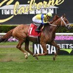 Red Knight, horse, Pure Prize, Man o´War Stakes, sábado, 13 de mayo de 2023, Belmont Park. Foto: Coglianese Photo