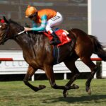 Costa Del Norte, horse, Haras Don Alberto, Clásico Francisco Baeza, lunes, 19 de junio de 2023, Club Hípico de Santiago. Foto: Jaime Cortés