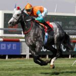 Facundo H, horse, Haras Don Alberto, Clásico Ismael Tocornal, viernes, 16 de junio de 2023, Club Hípico de Santiago. Foto: Jaime Cortés