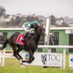Game Time, Horses, Not This Time, San Francisco Mile Stakes, domingo, 28 de mayo de 2023, Golden Gate Fields. Foto: Vassar Photography