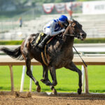 Geaux Rocket Ride, Horses, OXO Equine LLC, Affirmed Stakes, domingo, 4 de junio de 2023, Santa Anita Park. Foto: Benoit Photo