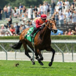 Planetario, Horses, Collected, San Juan Capistrano Stakes, domingo, 18 de junio de 2023, Santa Anita Park. Foto: Benoit Photo