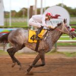 Sasha Thunder, horse, Panamá Thunder, Clásico Felipe Motta, sábado, 17 de junio de 2023, Presidente Remón. Foto: Erick Ruiz Prensa CODERE Panamá