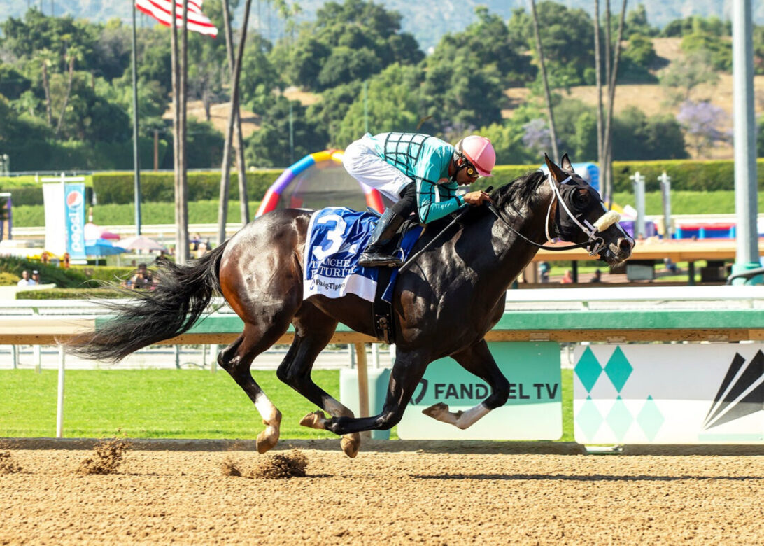Tranche, Horses, Collected, Fasig-Tipton Futurity, sábado, 17 de junio de 2023, Santa Anita Park. Foto: Benoit Photo