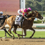 Window Shopping, Horses, International Equities Holding, Summertime Oaks, sábado, 3 de junio de 2023, Santa Anita Park. Foto Benoit Photo