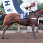 Ya Llegué, horse, Haras Porta, Clásico Juan Luis Edwards Sanfuentes, sábado, 10 de junio de 2023, Hipódromo Chile. Foto: Jaime Cortés