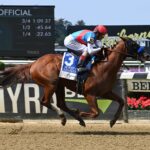 Arabian Lion, horse, Bonne Chance Farm, Woody Stephens Stakes, Belmont Stakes Day, sábado, 10 de junio de 2023, Belmont Park. Foto: Coglianese Photo & Susie Raisher