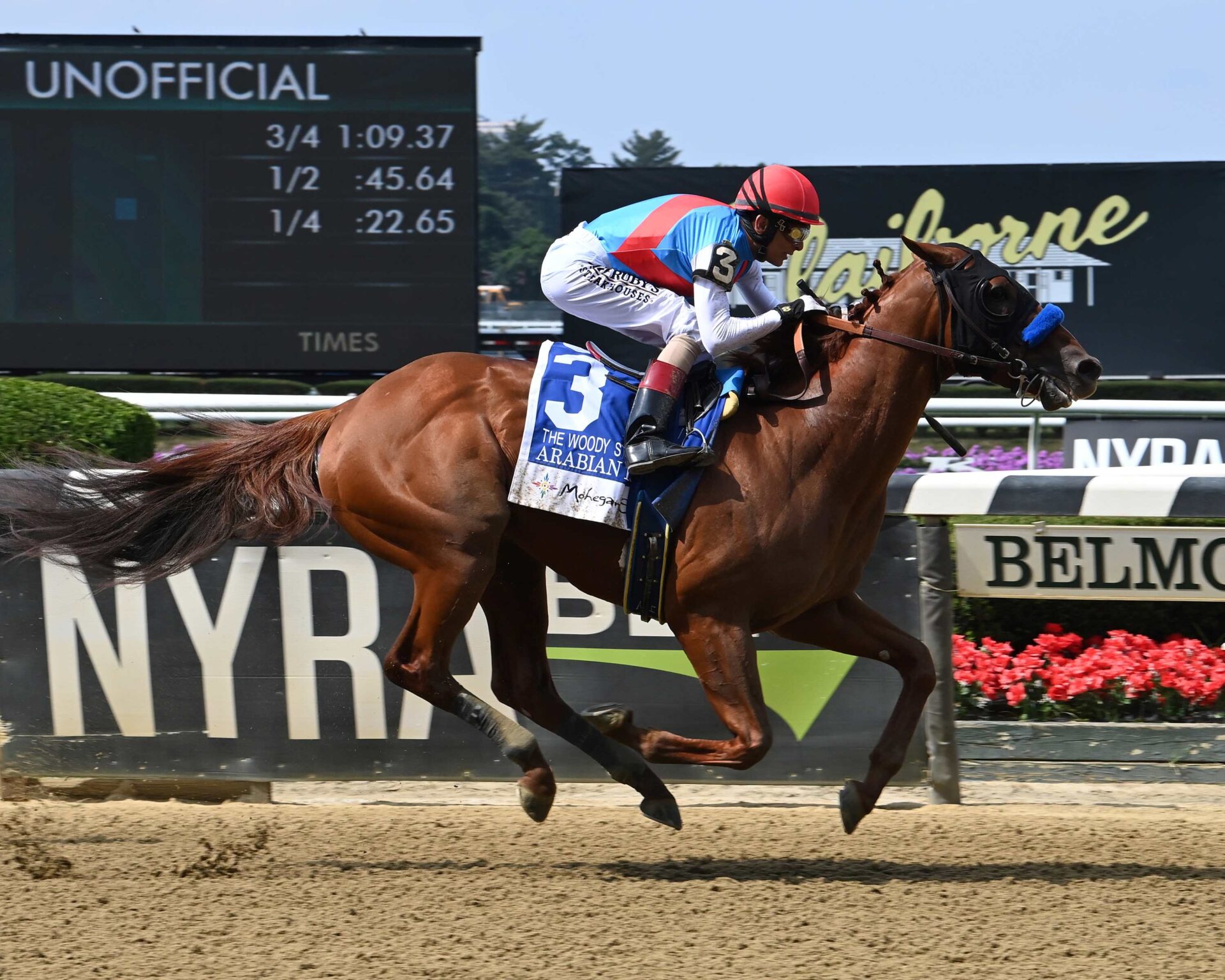 Arabian Lion, horse, Bonne Chance Farm, Woody Stephens Stakes, Belmont Stakes Day, sábado, 10 de junio de 2023, Belmont Park. Foto: Coglianese Photo & Susie Raisher