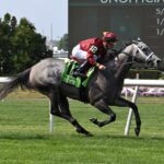 Caravel, horse, Mizzent Mast, Jaipur Stakes, Belmont Stakes Day, sábado, 10 de junio de 2023, Belmont Park. Foto: Coglianese Photo & Susie Raisher