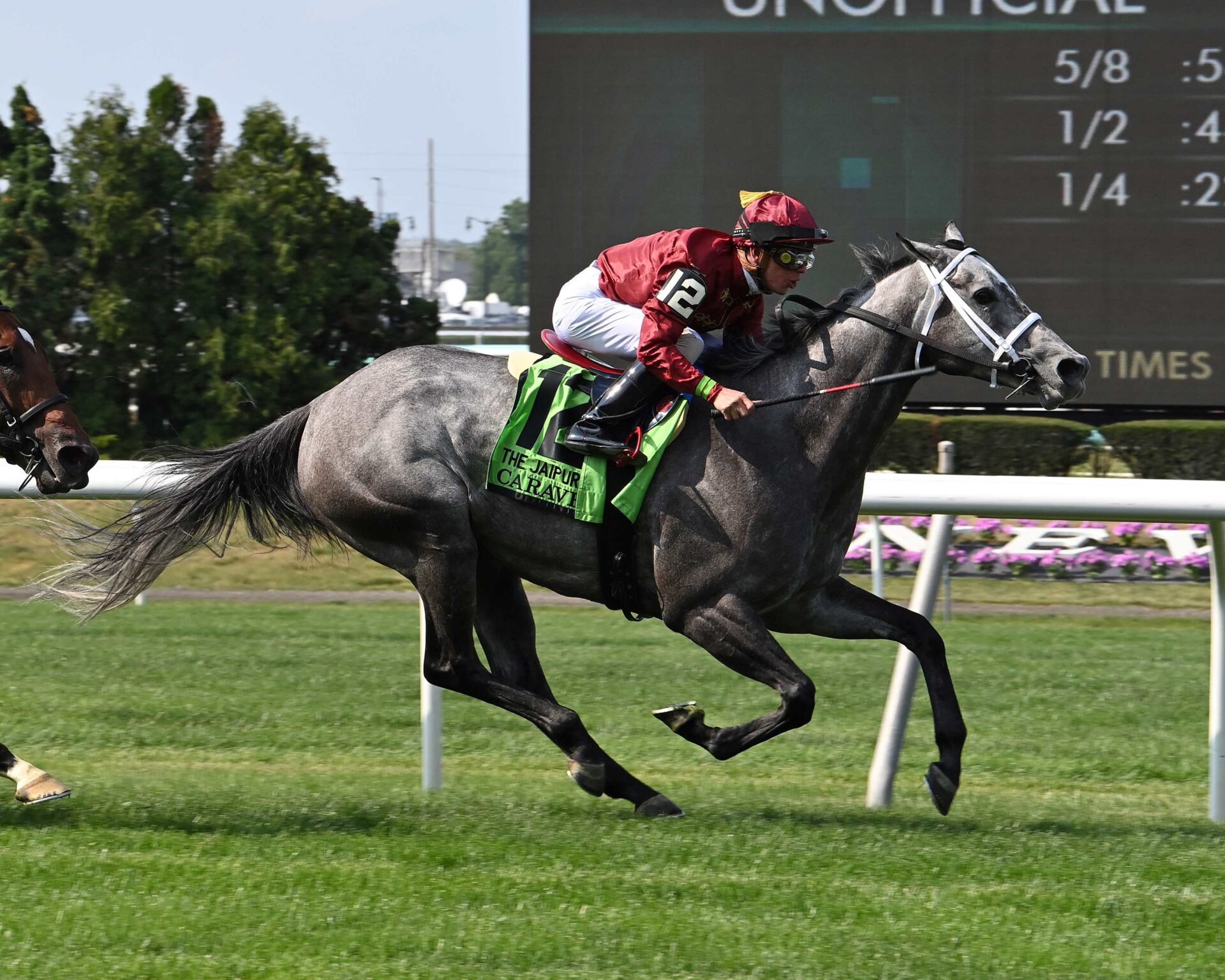 Caravel, horse, Mizzent Mast, Jaipur Stakes, Belmont Stakes Day, sábado, 10 de junio de 2023, Belmont Park. Foto: Coglianese Photo & Susie Raisher