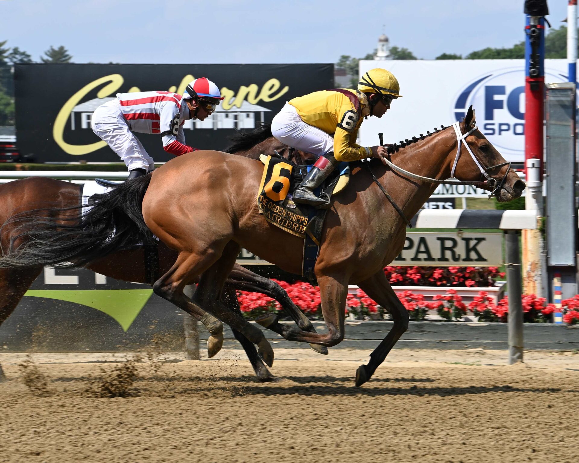 Clairiere, horse, Curlin, Ogden Phipps Stakes, Belmont Stakes Day, sábado, 10 de junio de 2023, Belmont Park. Foto: Coglianese Photo & Susie Raisher