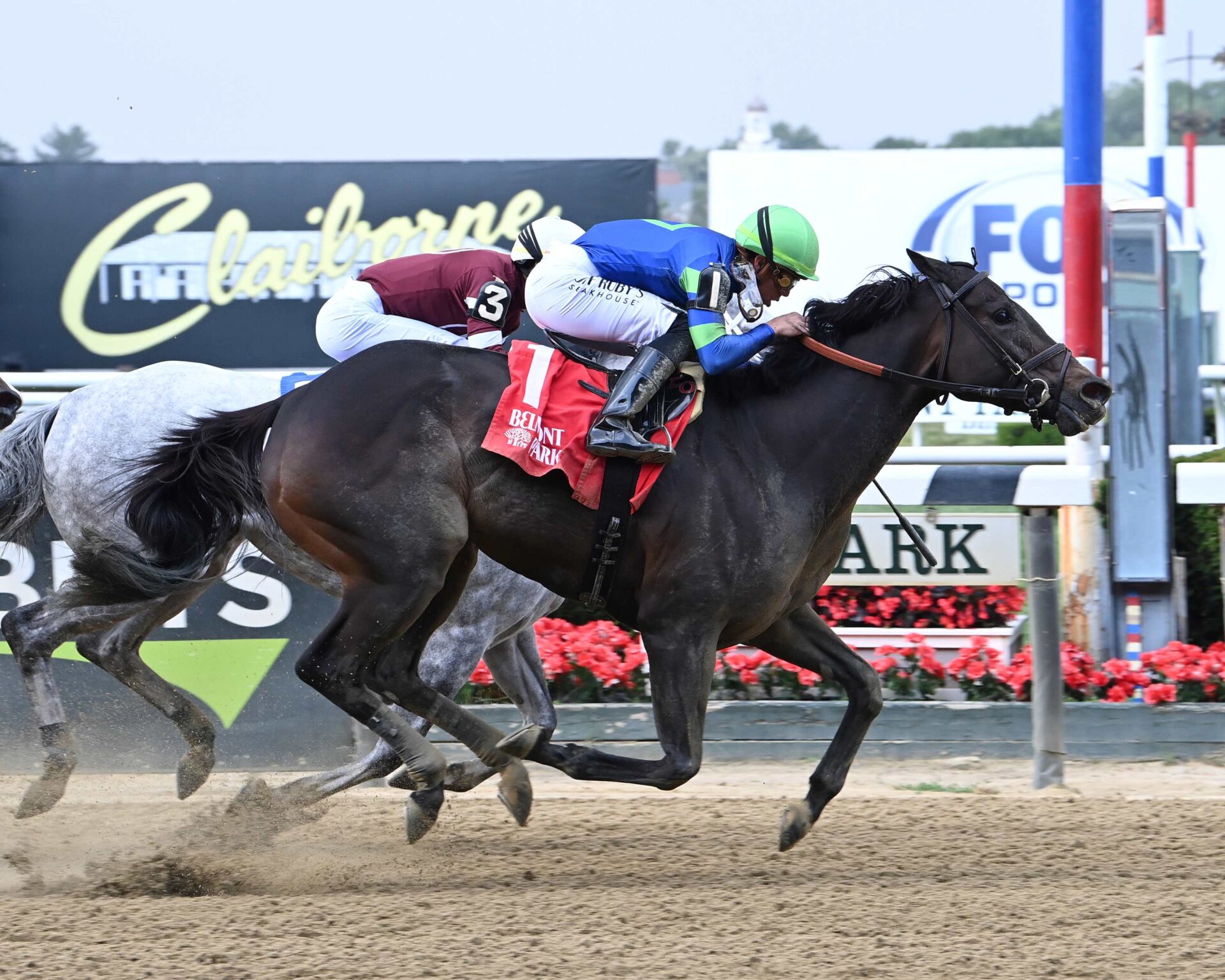 Goodnight Olive, horse, Ghostzapper, Bed O´Roses Stakes, sábado, 17 de junio de 2023, Belmont Park. Foto: Coglianese Photo & Susie Raisher