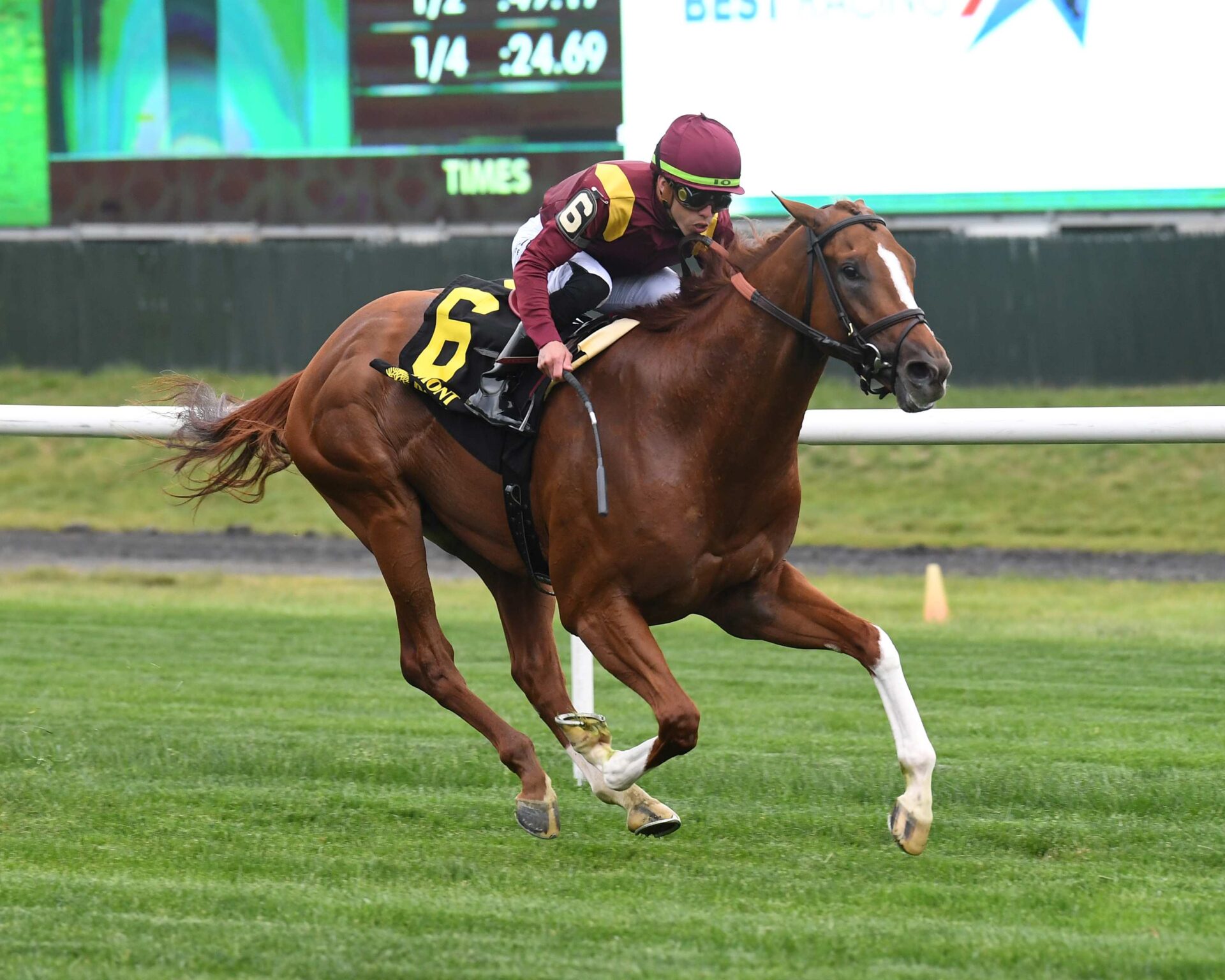Kalik, horse, Collected, Pennine Ridge Stakes, sábado, 13 de mayo de 2023, Belmont Park. Foto: Coglianese Photo