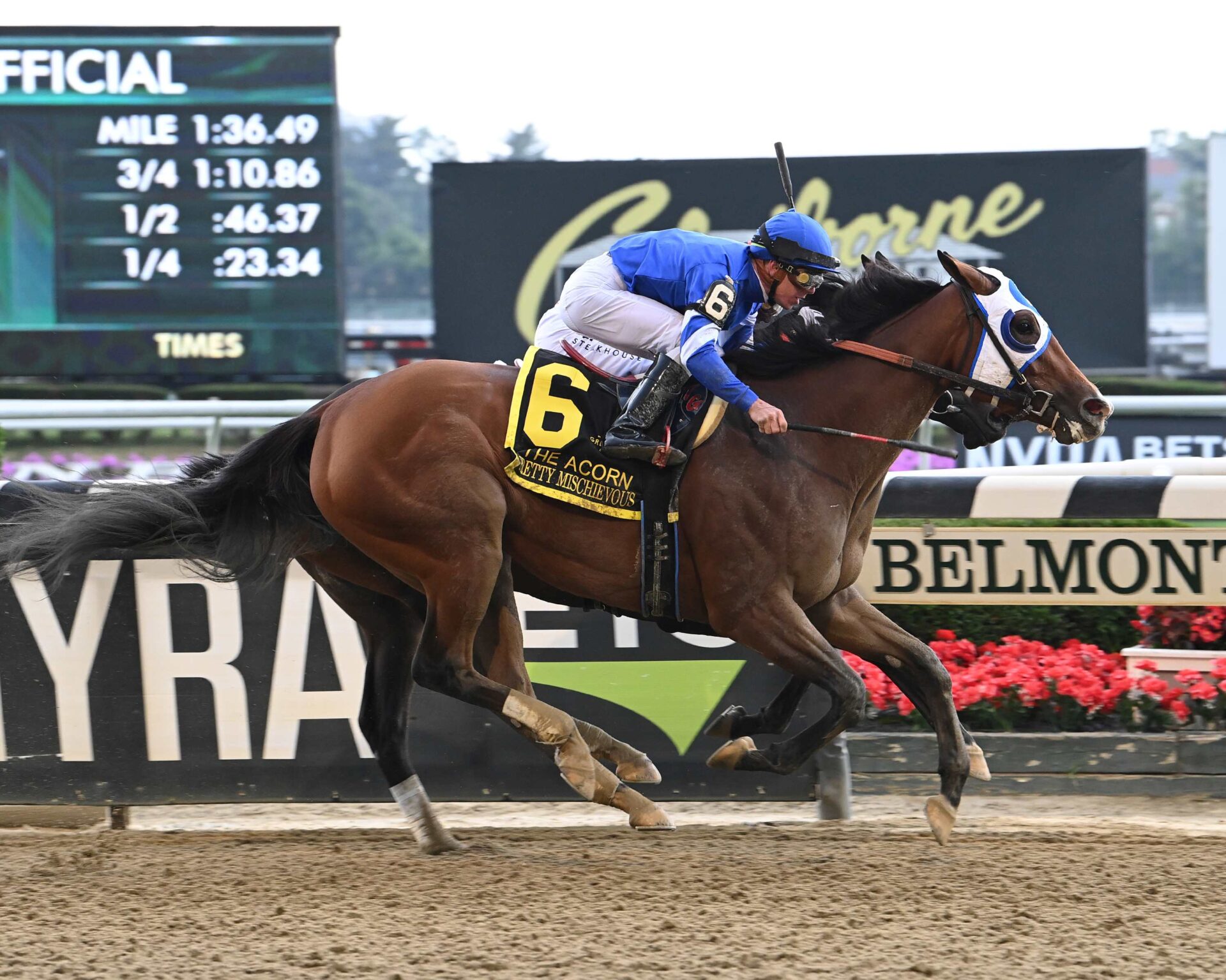 Pretty Mischievous, horses, Godolphin, Acorn Stakes, viernes, 9 de junio de 2023, Belmont Park. Foto: Coglianese Photo & Susie Raisher