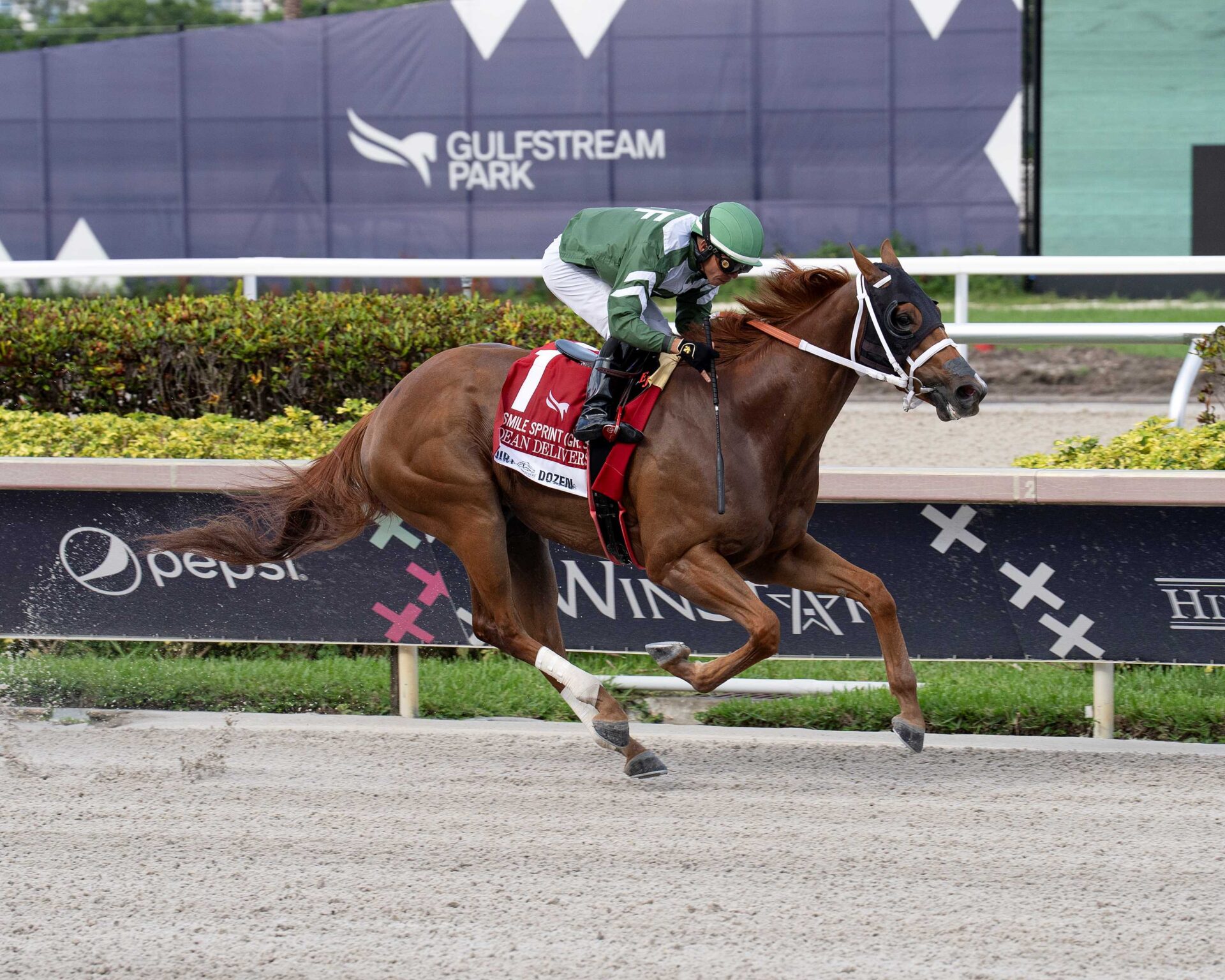 Dean Delivers, horse, Cajun Breeze, Smile Sprint Stakes, sábado, 1 de julio de 2023, Gulsftream Park. Foto: Coglianese Photo