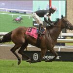 Fev Rover, Horse, Gutaifan (IRE), Nassau Stakes, sábado, 1 de julio de 2023, Woodbine. Foto: Michael Burns Photography