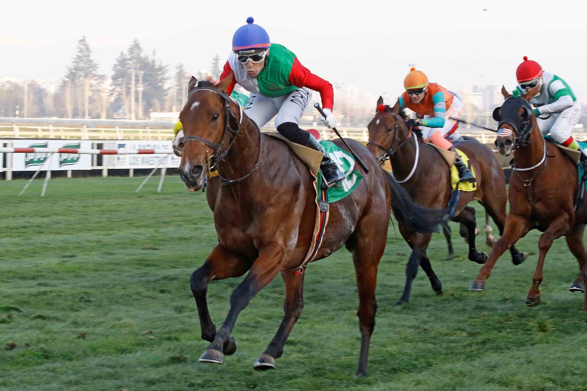 Frateli La Vita, horse, Haras Don Alberto, Clásico Raimundo Valdés, domingo, 16 de junio de 2023, Club Hípico de Santiago. Foto: Jaime Cortés