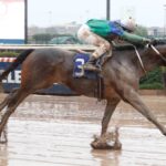 Good Runner, horse, Good Samaritan, Clásico Gregorio Amunategui Jordán, sábado, 22 de julio de 2023, Hipódromo Chile. Foto: Jaime Cortés