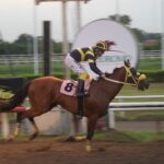 Play Action, horse, Haras Cerro Punta, Clásico Víctor Hung, domingo, 30 de julio de 2023, La Rinconada. Foto: Erick Ruiz Prensa CODERE Panamá