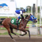 Xtina, horse, Karakontie, Clásico Familia Grimaldo, sábado, 8 de julio de 2023, Presidente Remón. Foto: Erick Ruiz Prensa CODERE Panamá