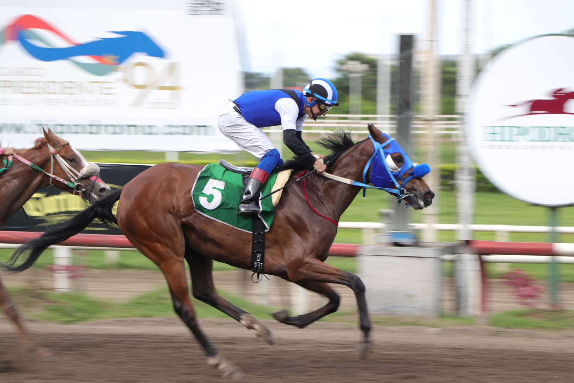 Xtina, horse, Karakontie, Clásico Familia Grimaldo, sábado, 8 de julio de 2023, Presidente Remón. Foto: Erick Ruiz Prensa CODERE Panamá