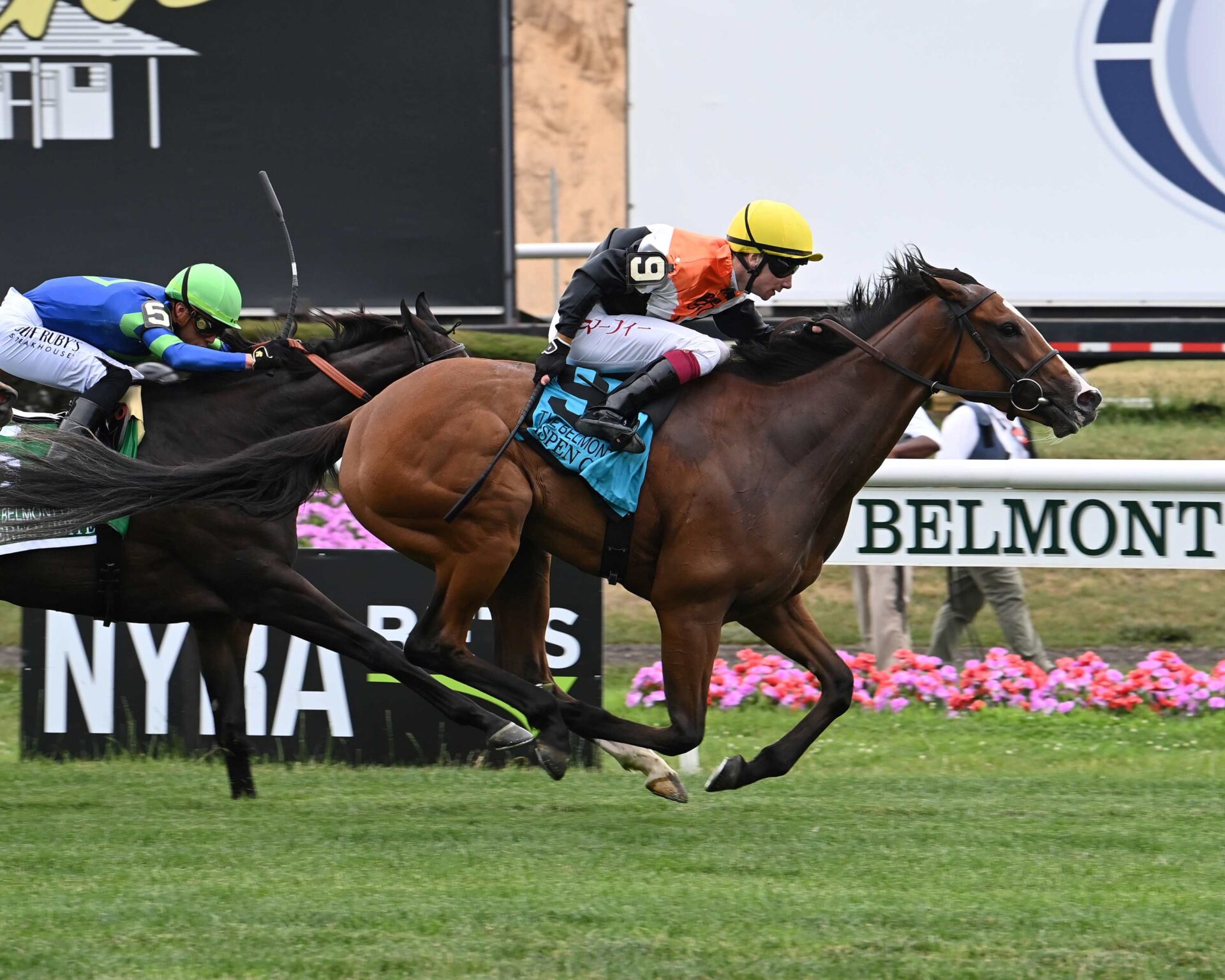 Aspen Grove, horse, Glen Hill Farm, Belmont Oaks Invitational Stakes, sábado, 8 de julio de 2023, Belmont Park. Foto: Coglianese Photo & Susie Raisher