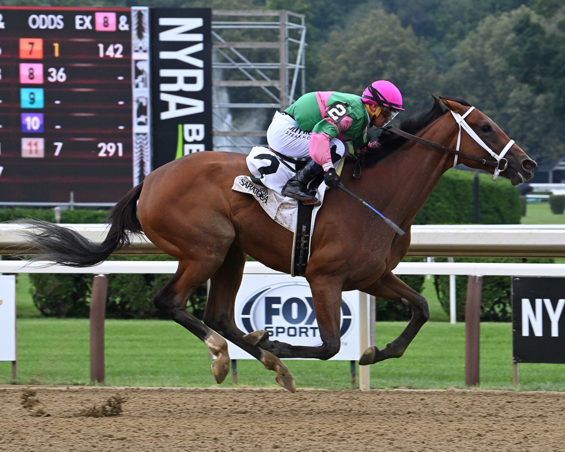 Becky´s Joker, horse, Practical Joke, Schuylerville Stakes, jueves, 13 de julio de 2023, Saratoga. Foto: Coglaniese Photo & Susie Raisher