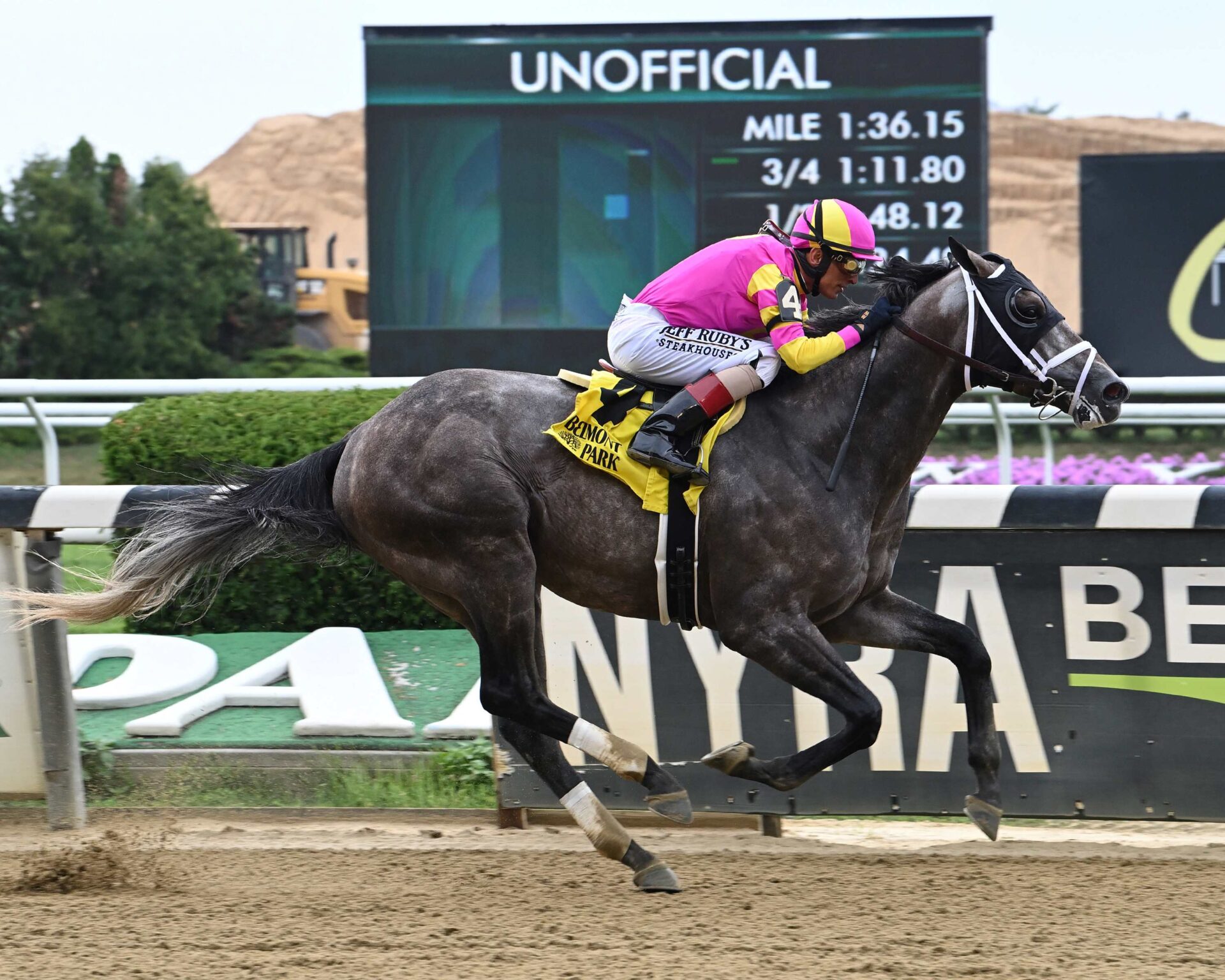 Charge It, horse, Tapit, Suburban Stakes, sábado, 8 de julio de 2023, Belmont Park. Foto: Coglianese Photo & Susie Raisher
