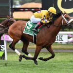 Far Bridge, horse, Calumet Farm, Belmont Derby Invitational, sábado, 8 de julio de 2023, Belmont Park. Foto: Coglianese Photo