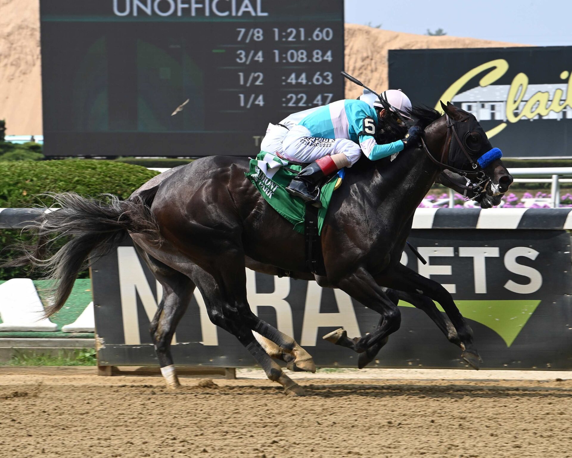 Fort Bragg, horse, Madaket Stables, Dwyer Stakes, sábado, 1 de julio de 2023, Belmont Park. Foto: Coglianese Photo & Susie Raisher