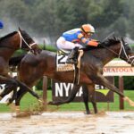 Forte, horse, Repole Stable, Jim Dandy, sábado, 29de julio de 2023, Saratoga. Foto: Coglaniese Photo & Susie Raisher