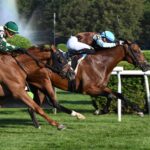 Itsallcomintogetha, horse, Hilly Fields Stable, NYSS Cab Calloway División, jueves, 20 de julio de 2023, Saratoga. Foto: Coglaniese Photo & Susie Raisher