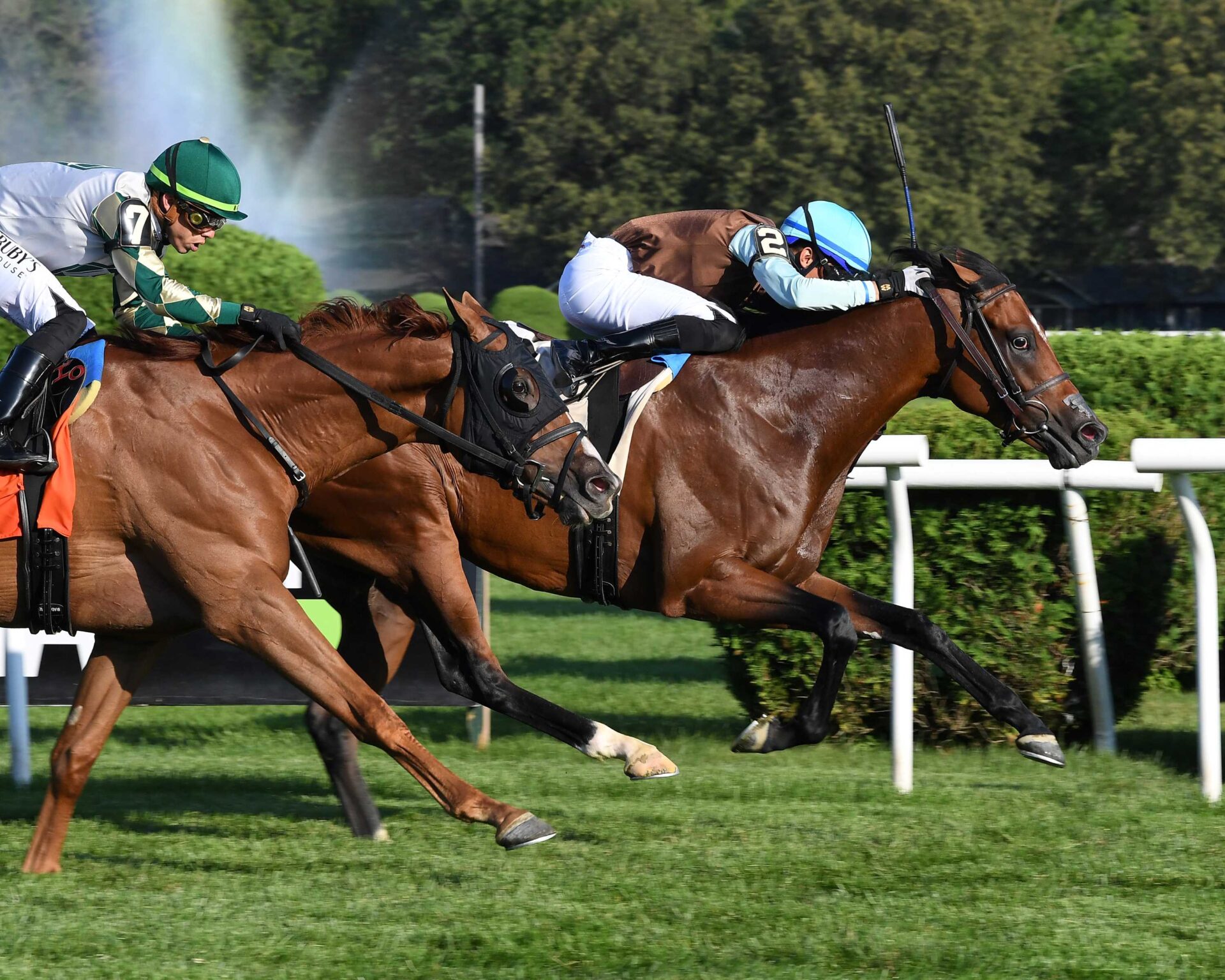 Itsallcomintogetha, horse, Hilly Fields Stable, NYSS Cab Calloway División, jueves, 20 de julio de 2023, Saratoga. Foto: Coglaniese Photo & Susie Raisher