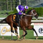 New York Thunder, horse, Nyquist, Amsterdam Stakes, viernes, 28 de julio de 2023, Belmont Park. Foto: Coglaniese Photo