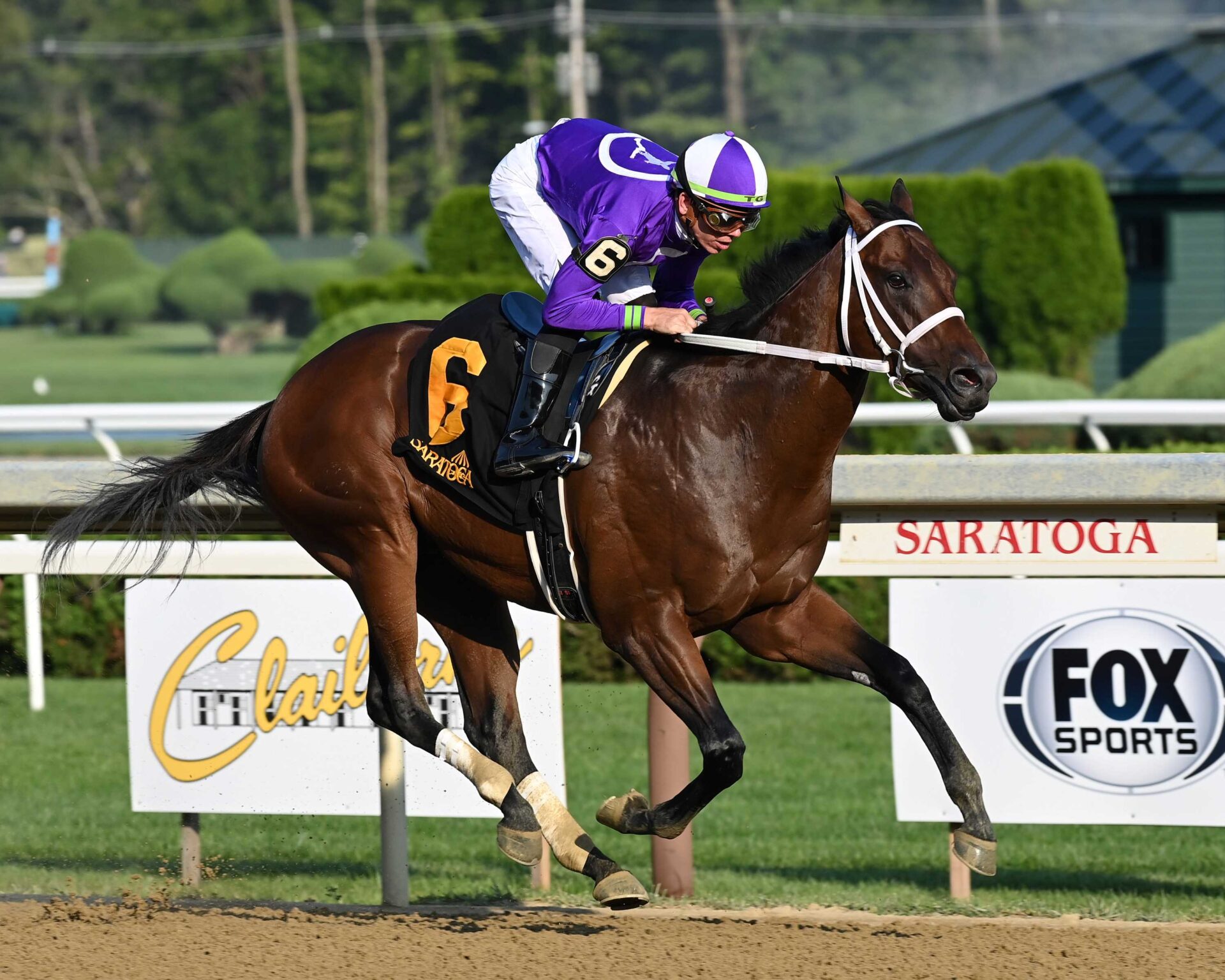 New York Thunder, horse, Nyquist, Amsterdam Stakes, viernes, 28 de julio de 2023, Belmont Park. Foto: Coglaniese Photo