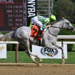 Next, horse, Not This Time, Birdstone Stakes, jueves, 27 de julio de 2023, Saratoga. Foto: Coglaniese Photo & Susie Raisher