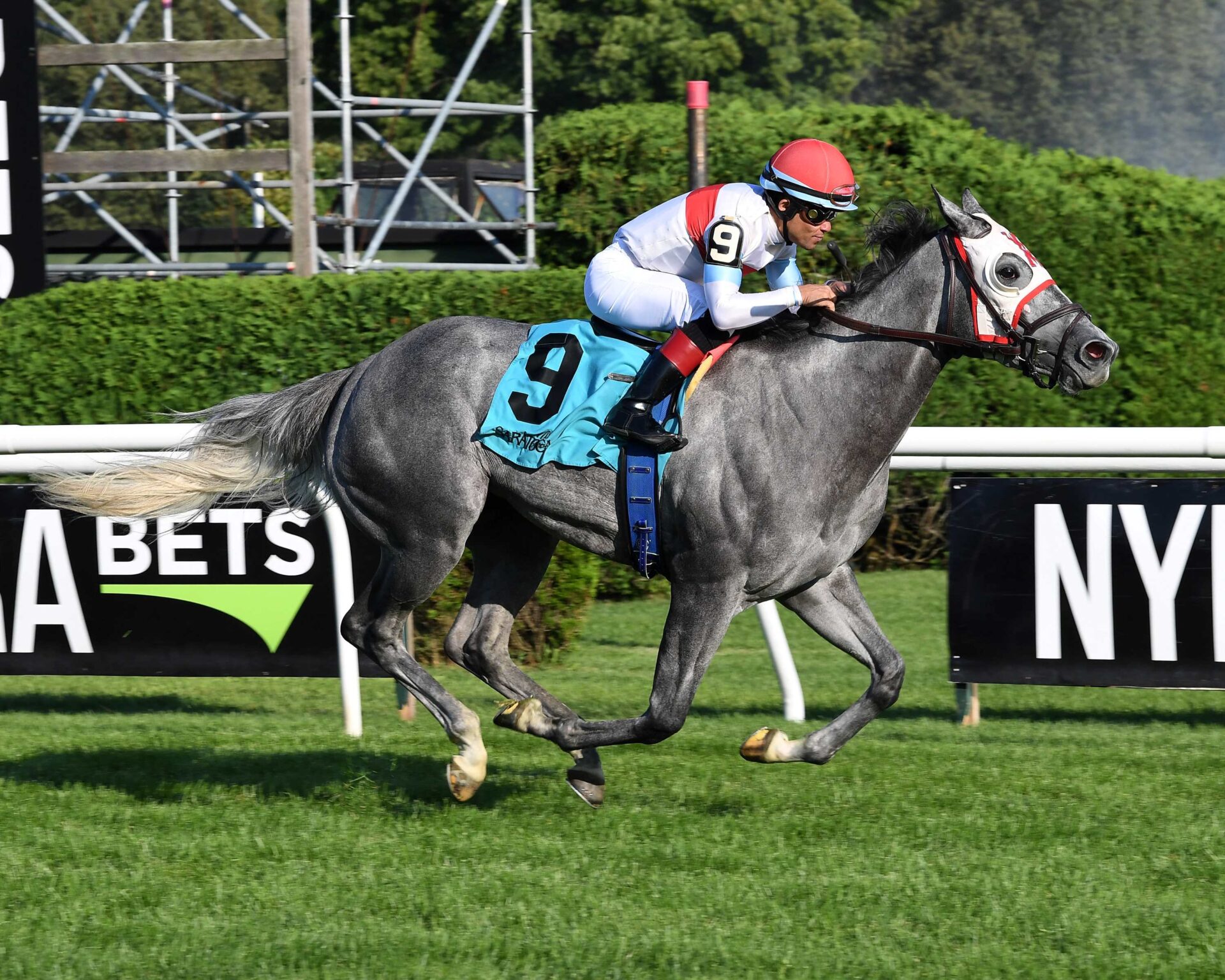 Orange Freeze, horse, Freud, NYSS Statue Of Liberty División, Miércoles, 19 de julio de 2023, Saratoga. Foto: Coglaniese Photo & Susie Raisher