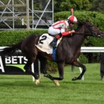 Surge Capacity, horse, Flintshire, Lake George Stakes, viernes, 21 de julio de 2023, Saratoga. Foto: Coglaniese Photo & Susie Raisher