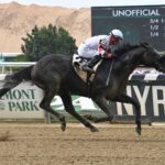 Three Technique, horse, Mr. Speaker, John A. Nerud Stakes, sábado, 1 de julio de 2023, Belmont Park. Foto: Coglianese Photo & Susie Raisher