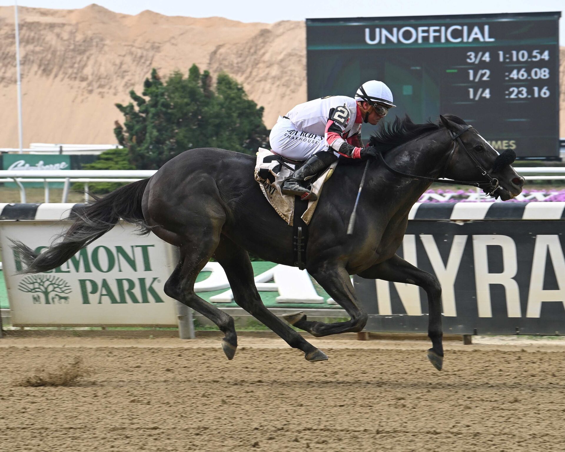 Three Technique, horse, Mr. Speaker, John A. Nerud Stakes, sábado, 1 de julio de 2023, Belmont Park. Foto: Coglianese Photo & Susie Raisher
