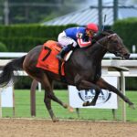 Unified Alliance, horse, Unified, Coronation Cup Stakes, viernes, 14 de julio de 2023, Saratoga. Foto: Coglaniese Photo